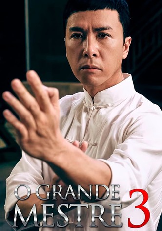 Ip Man 4 filme - Veja onde assistir online